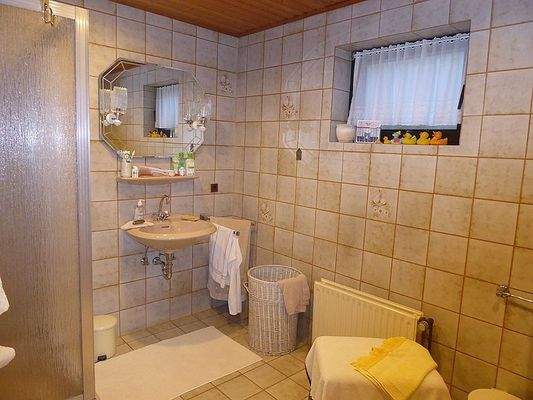 Duschbad im Untergeschoss
