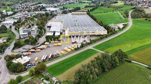 Rudersberg Halle, Rudersberg Hallenfläche