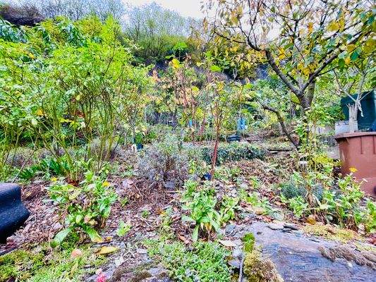 Schöner Garten in Hanglage