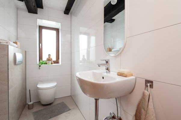 Modernes separates WC