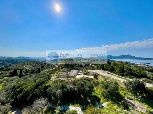 4cc2bf309e744996b57475a1de3c23c7-original