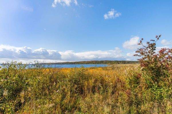 Nahegelegener Jasmunder Bodden