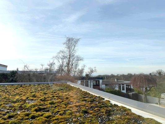 Aussicht Dachterrasse