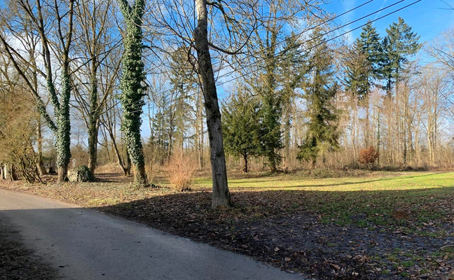 544c72ca-b39f-4b43-93cc-fd17ba0bf40a