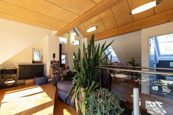 Sonnendurchflutet im Studio