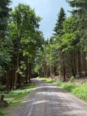 2025-07-22 14.25.06.jpg