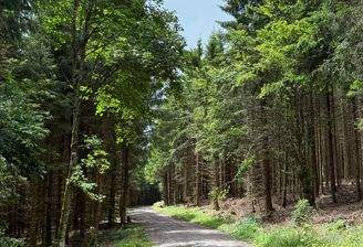 2025-07-22 14.25.06.jpg