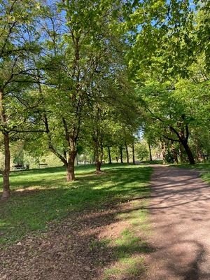 Grünfläche hinter Andreasstadel an der Donau