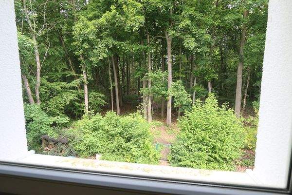 direkter Waldzugang.jpg