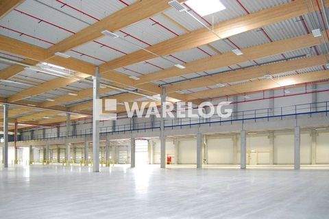 Merklingen Halle, Merklingen Hallenfläche