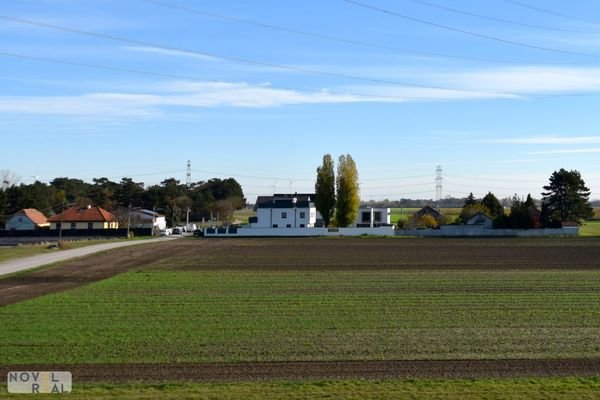 Bild 17