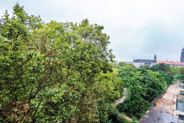 Grüner Blick vom Balkon