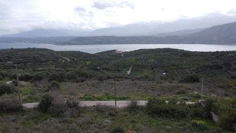 Sternes Grundstücke, Sternes Grundstück kaufen