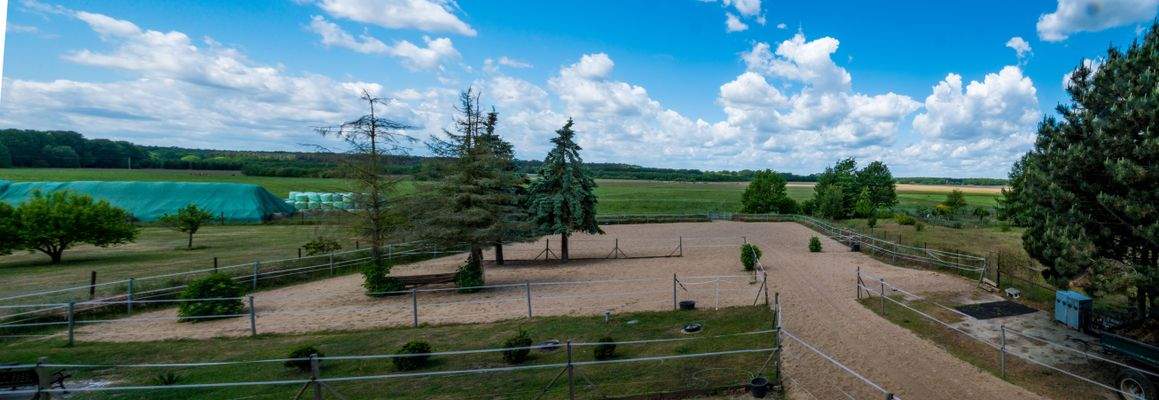 Panoramaansicht mit Paddocks und Weideland 3822
