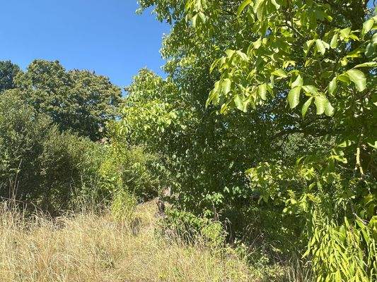 Natur, Ruhe, hier tanken Sie auf_