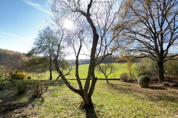 Birkenweg 4, Thal-26