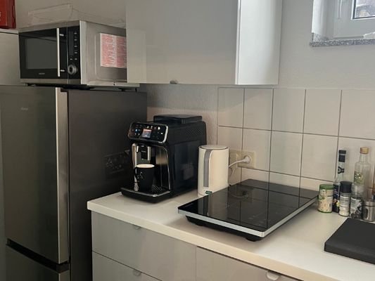 Moderne Küche mit Induktion, Kühlschrank, Microwelle und Spülmas