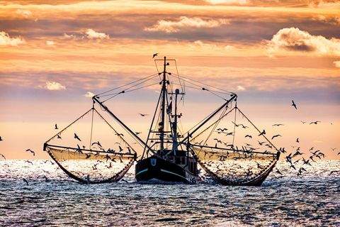 Dornum Wohnungen, Dornum Wohnung kaufen