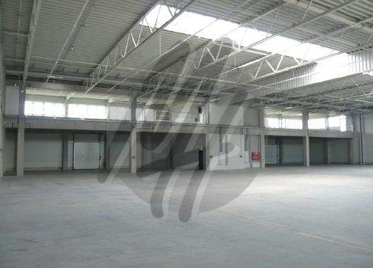 INFOS UNTER: 06171-586000