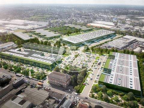 Düsseldorf Halle, Düsseldorf Hallenfläche