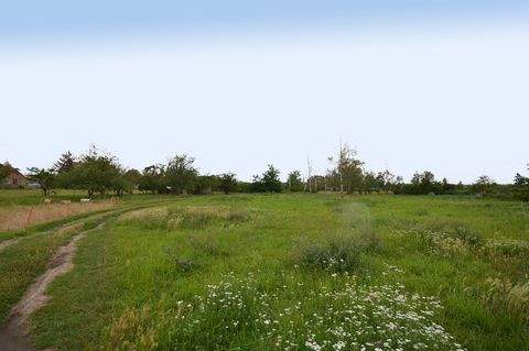 Hausneindorf Grundstücke, Hausneindorf Grundstück kaufen