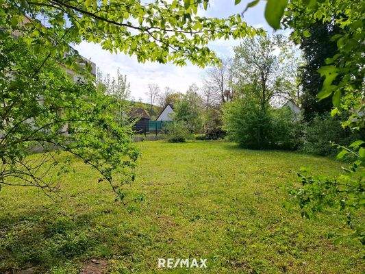 Großer Garten mit Gestaltungsmöglichkeiten