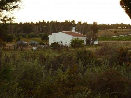 Rociana del Condado Bauernhöfe, Landwirtschaft, Rociana del Condado Forstwirtschaft
