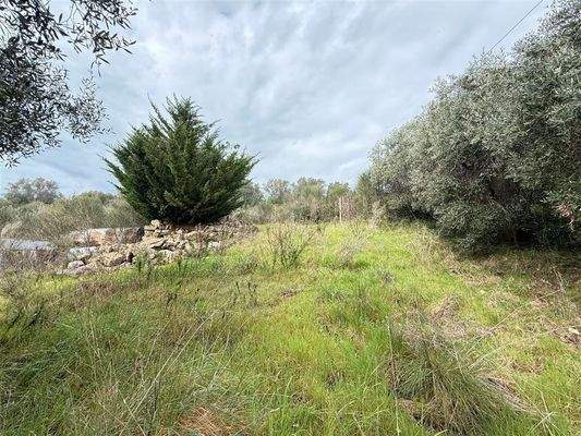 Teil vom Grundstück