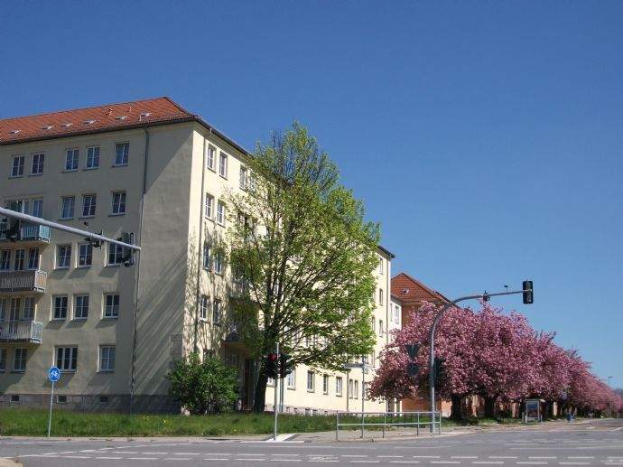 FAMILIEN und STUDENTEN !!!!  3-Raum Wohnung mit Laminat in Zentrumsnähe  +++++ WG gerecht !!!!  ++++++++++