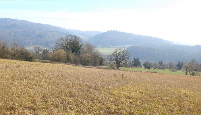 Hegauvulkanlandschaft