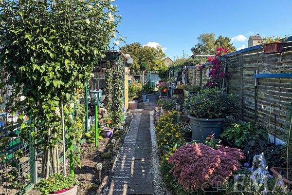 schön angelegter Mietergarten