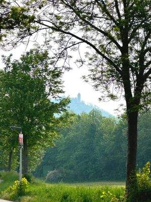 Blick auf die Burgruine