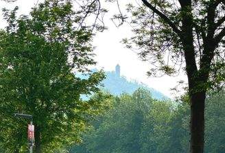 Blick auf die Burgruine