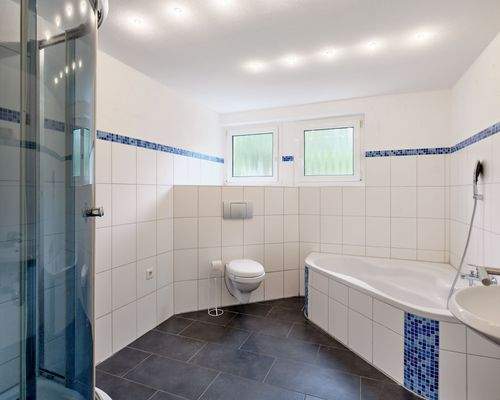 Tageslichtbad mit Badewanne und Dusche 