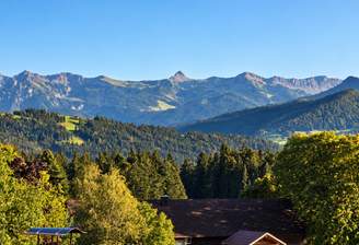Ausblick