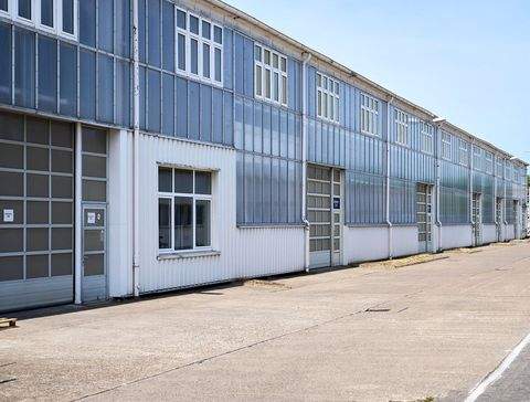 Rostock Halle, Rostock Hallenfläche