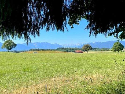 Platz für ihre Bank mit Blick