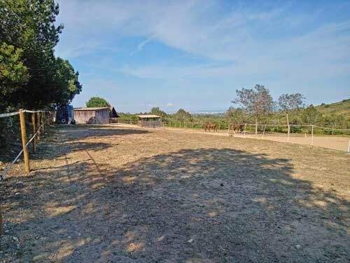 2531 spanien, valencia, montserrat, finca mit pferdestall zu verkaufen