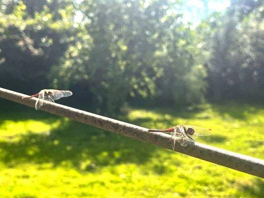 Wieder Zeit zum Wahrnehmen finden