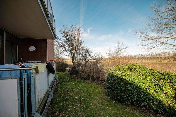 SINKO Buchenknick-4.jpg