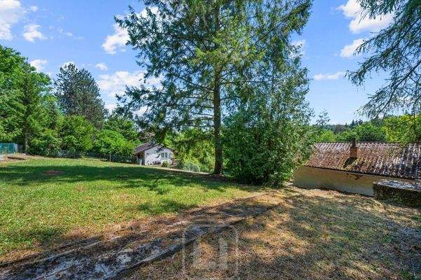 Gewachsener Baumbestand