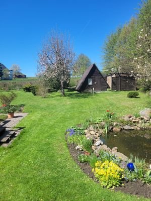 Bild 41 Teich.JPG