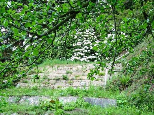 Blick auf den Hang (1)