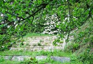Blick auf den Hang (1)