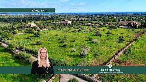 Son Carrio Grundstücke, Son Carrio Grundstück kaufen