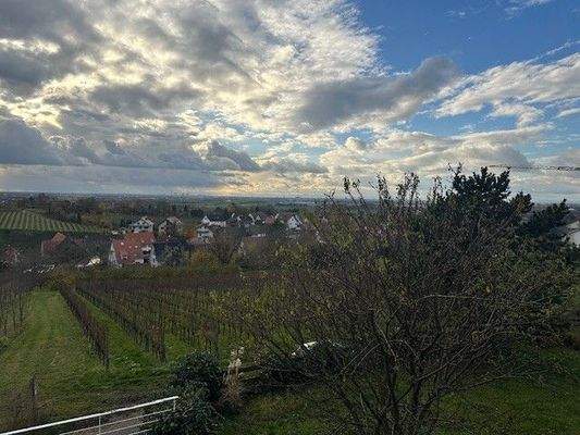 Blick in die Rheinebene vom Vorgarten Terrasse aus.jpg