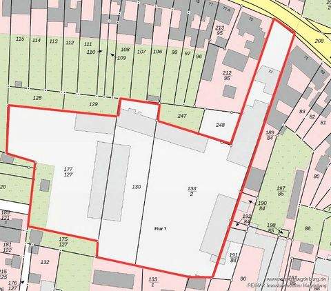 Kalbe (Milde) Halle, Kalbe (Milde) Hallenfläche