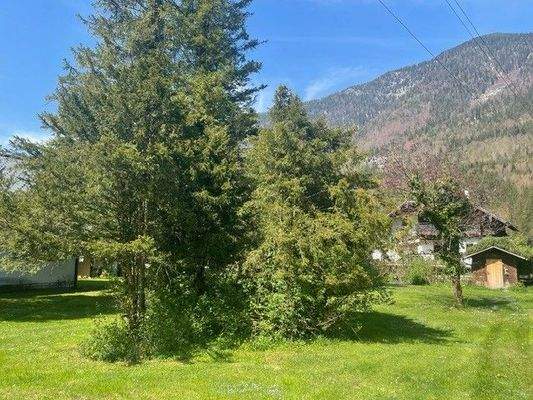 Liegenschaft Obertraun