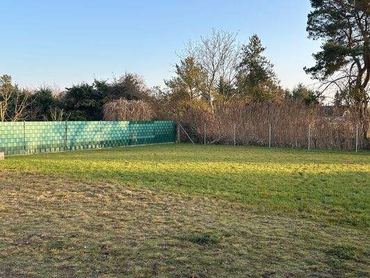 Rasen- Gartenfläche.jpg