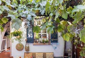 Innenhof mit Weinstock